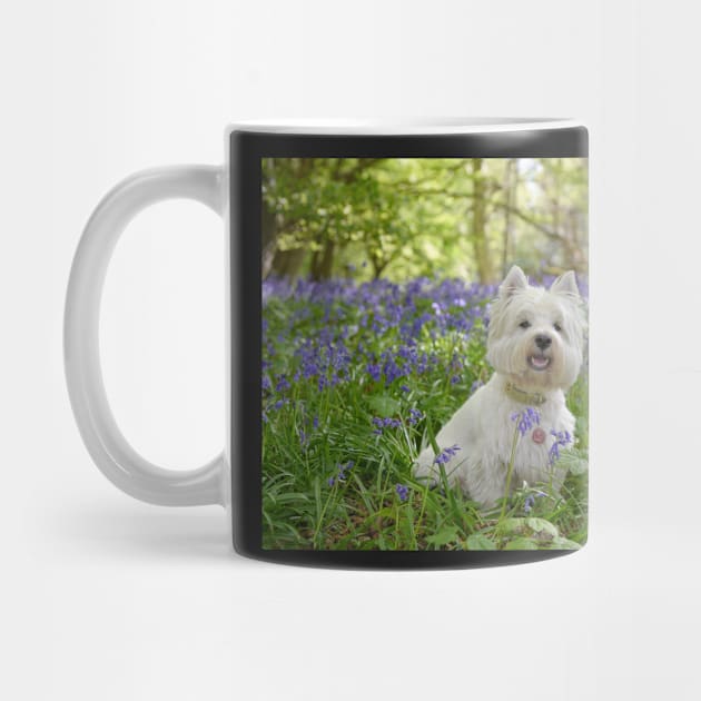 Westie in the bluebell woods by princess-pirate